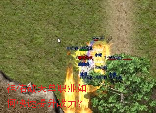 �������쵥ְҵ��ο�������ս����