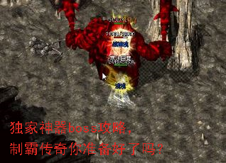 ��������boss���ԣ��ưԴ�����׼��������