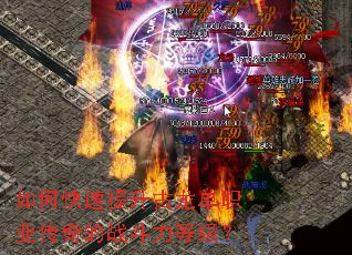��ο�������������ְҵ�����ս�����ȼ���