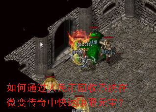 ���ͨ������һ���ϵͳ��΢�䴫���п���׬ȡԪ����