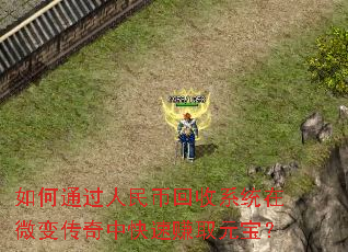 ���ͨ������һ���ϵͳ��΢�䴫���п���׬ȡԪ����
