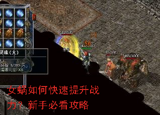 女蜗如何快速提升战力?新手必看攻略 女蜗如何快速提升战力?新手必看攻略