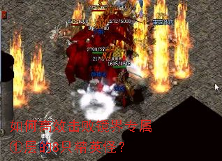 如何高效击败镜界专属①层的8只精英怪? 如何高效击败镜界专属①层的8只精英怪?