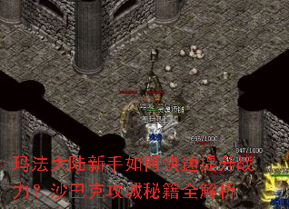 玛法大陆新手如何快速提升战力?沙巴克攻城秘籍全解析 玛法大陆新手如何快速提升战力?沙巴克攻城秘籍全解析