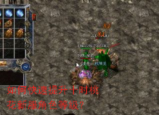 如何快速提升十时桃花新服角色等级? 如何快速提升十时桃花新服角色等级?