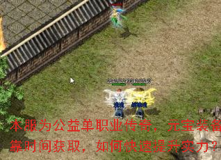 本服为公益单职业传奇,元宝装备全靠时间获取,如何快速提升实力? 本服为公益单职业传奇,元宝装备全靠时间获取,如何快速提升实力?