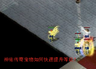 神佑传奇宠物如何快速提升等级? 神佑传奇宠物如何快速提升等级?