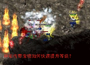 神佑传奇宠物如何快速提升等级? 神佑传奇宠物如何快速提升等级?