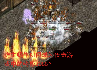 仿生蜗牛如何成为传奇游戏中的终极BOSS? 仿生蜗牛如何成为传奇游戏中的终极BOSS?