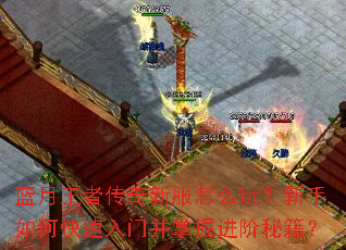 �������ߴ����·���ô�棿������ο������Ų����ս����ؼ���