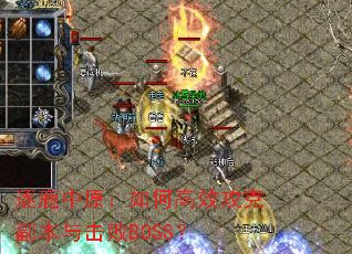 ��¹��ԭ����θ�Ч���˸��������BOSS��