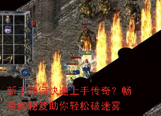 ������ο������ִ��棿���׸�������������������