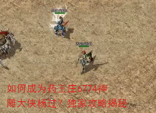 如何成为药王庄6774神雕大侠杨过?独家攻略揭秘 如何成为药王庄6774神雕大侠杨过?独家攻略揭秘