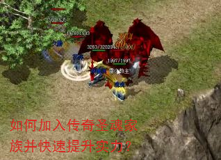 如何加入传奇圣魂家族并快速提升实力? 如何加入传奇圣魂家族并快速提升实力?