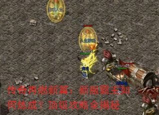 传奇再燃新篇:新服霸主如何炼成?顶级攻略全揭秘 传奇再燃新篇:新服霸主如何炼成?顶级攻略全揭秘