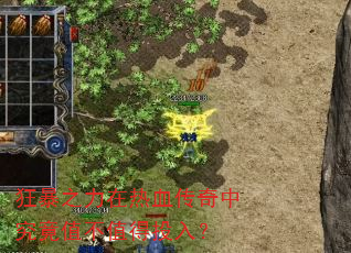狂暴之力在热血传奇中究竟值不值得投入? 狂暴之力在热血传奇中究竟值不值得投入?