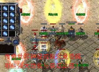 传奇世界神秘戒指究竟隐藏哪些强大功能与获取途径? 传奇世界神秘戒指究竟隐藏哪些强大功能与获取途径?