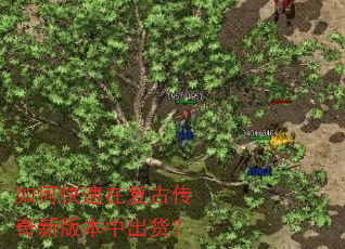 如何快速在复古传奇新版本中出货? 如何快速在复古传奇新版本中出货?