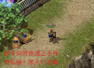 新手如何快速上手传奇私服?求入门攻略 新手如何快速上手传奇私服?求入门攻略
