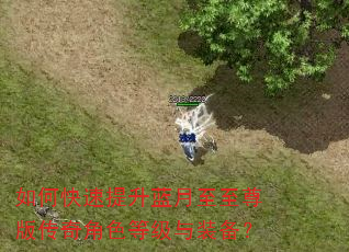 如何快速提升蓝月至至尊版传奇角色等级与装备? 如何快速提升蓝月至至尊版传奇角色等级与装备?