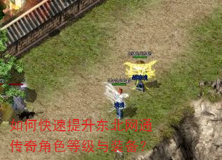 如何快速提升东北网通传奇角色等级与装备? 如何快速提升东北网通传奇角色等级与装备?