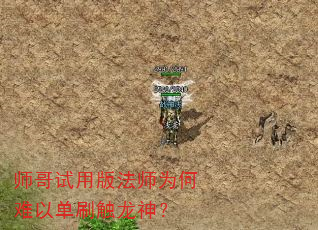 师哥试用版法师为何难以单刷触龙神? 师哥试用版法师为何难以单刷触龙神?