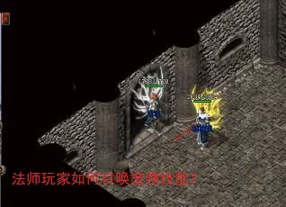 法师玩家如何召唤宠物技能? 法师玩家如何召唤宠物技能?