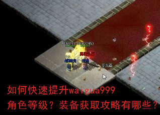 如何快速提升waigua999角色等级?装备获取攻略有哪些? 如何快速提升waigua999角色等级?装备获取攻略有哪些?