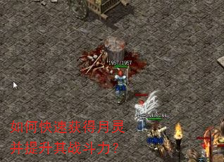 如何快速获得月灵并提升其战斗力? 如何快速获得月灵并提升其战斗力?