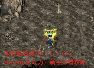 如何快速提升xinkaiidanzhiye角色战力?新手必看攻略 如何快速提升xinkaiidanzhiye角色战力?新手必看攻略