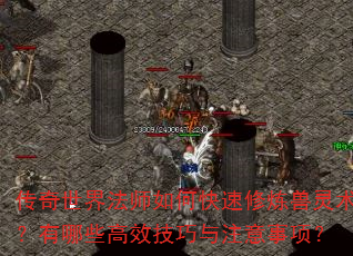 传奇世界法师如何快速修炼兽灵术?有哪些高效技巧与注意事项? 传奇世界法师如何快速修炼兽灵术?有哪些高效技巧与注意事项?