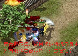 传奇世界法师如何快速修炼兽灵术?有哪些高效技巧与注意事项? 传奇世界法师如何快速修炼兽灵术?有哪些高效技巧与注意事项?