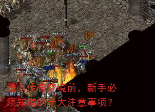进入传奇梦境前,新手必须知道的十大注意事项? 进入传奇梦境前,新手必须知道的十大注意事项?