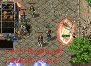 ������������ʺ����ĸ���ͼ�һ�������죿