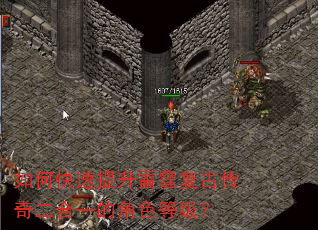 如何快速提升雷霆复古传奇二合一的角色等级? 如何快速提升雷霆复古传奇二合一的角色等级?