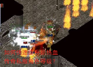 如何快速提升新热血传奇私服角色等级? 如何快速提升新热血传奇私服角色等级?