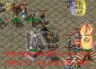 鸳鸯蝴蝶传奇私服新手如何快速提升战力?装备获取攻略全解析 鸳鸯蝴蝶传奇私服新手如何快速提升战力?装备获取攻略全解析