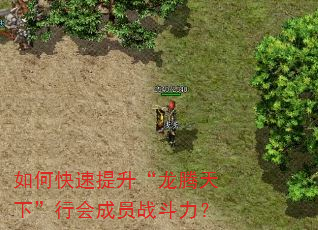 如何快速提升“龙腾天下”行会成员战斗力? 如何快速提升“龙腾天下”行会成员战斗力?