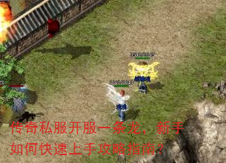 传奇私服开服一条龙,新手如何快速上手攻略指南? 传奇私服开服一条龙,新手如何快速上手攻略指南?