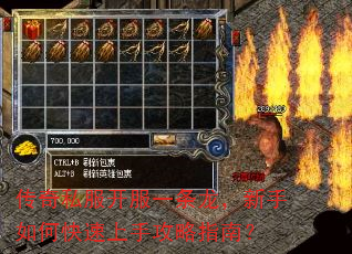 传奇私服开服一条龙,新手如何快速上手攻略指南? 传奇私服开服一条龙,新手如何快速上手攻略指南?