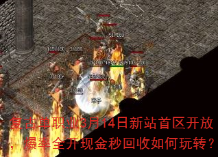 ���ŵ�ְҵ3��14����վ�������ţ�����ȫ���ֽ�����������ת��