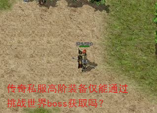 ����˽���߽�װ������ͨ����ս����boss��ȡ��