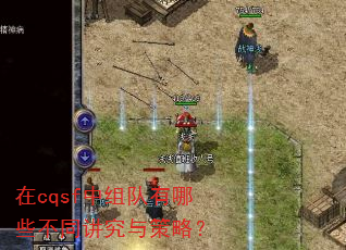 ��cqsf���������Щ��ͬ��������ԣ�