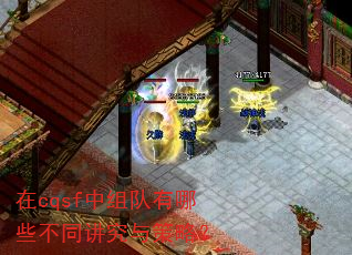 ��cqsf���������Щ��ͬ��������ԣ�