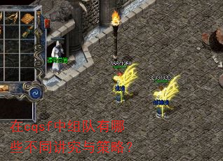 ��cqsf���������Щ��ͬ��������ԣ�