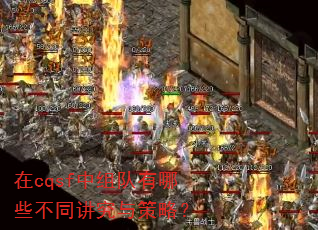 ��cqsf���������Щ��ͬ��������ԣ�