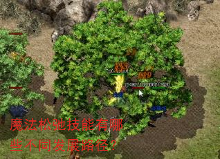 ħ���ɳڼ�������Щ��ͬ��չ·����