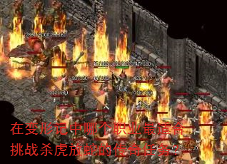 在变形记中哪个职业最适合挑战杀虎放蛇的传奇任务? 在变形记中哪个职业最适合挑战杀虎放蛇的传奇任务?