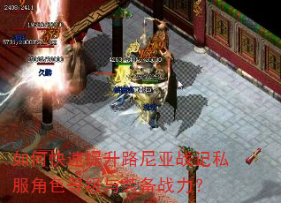 如何快速提升路尼亚战记私服角色等级与装备战力? 如何快速提升路尼亚战记私服角色等级与装备战力?