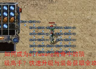 如何成为sifuwang传奇中的顶级高手?快速升级与装备获取全攻略 如何成为sifuwang传奇中的顶级高手?快速升级与装备获取全攻略